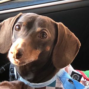 Meet your Posher, Lynn